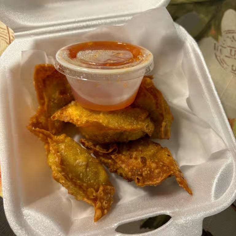 Wonton Wonders: Thai and Asian Dumpling Delights